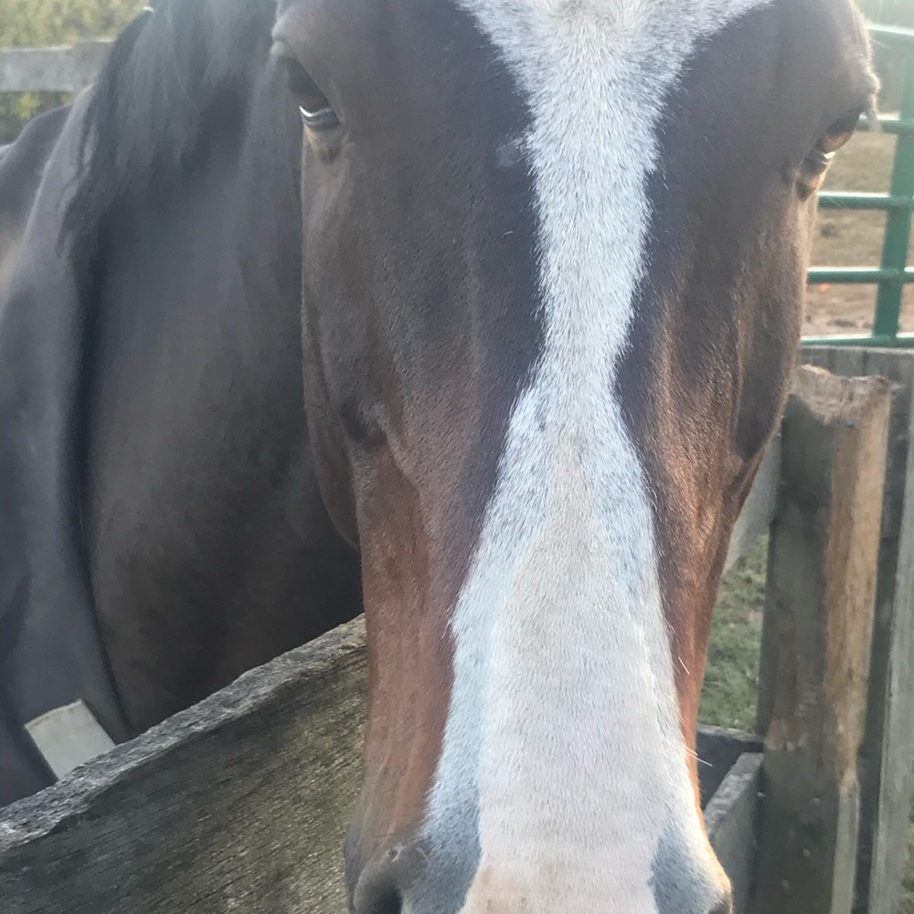 Meet your Posher, Nicole